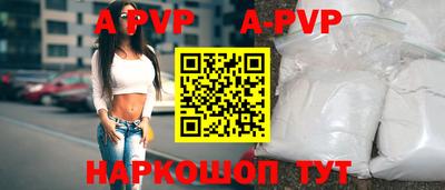 стаф Берёзовский