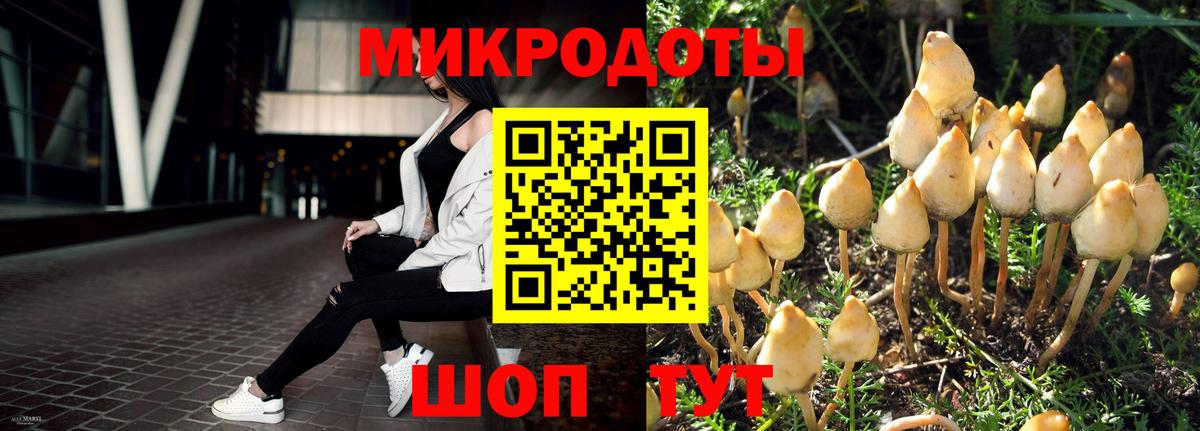 Галлюциногенные грибы Magic Shrooms Вичуга