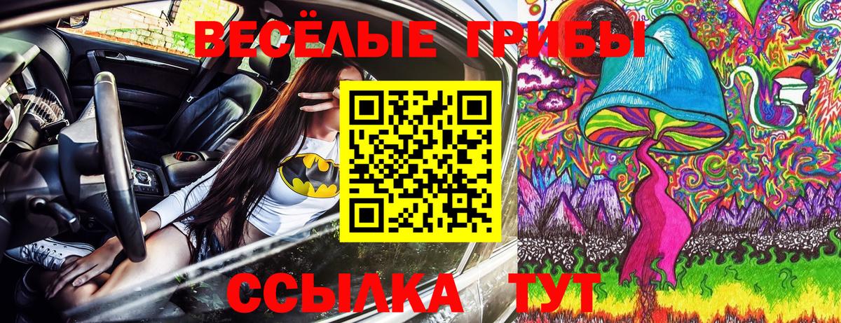 хочу   Вичуга  Псилоцибиновые грибы MAGIC MUSHROOMS  Галлюциногенные грибы Psilocybine cubensis 