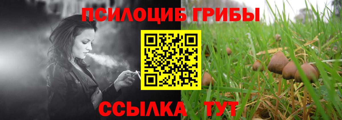 Галлюциногенные грибы MAGIC MUSHROOMS Вичуга